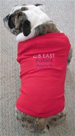 Back View-Dog 